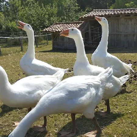 Prázdninový dům Le Bouton D'or 3 Etoiles 8 Kms Puydufou *