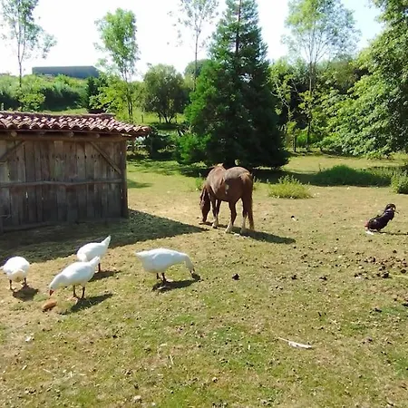 Hébergement de vacances Le Bouton D'or 3 Etoiles 8 Kms Puydufou *