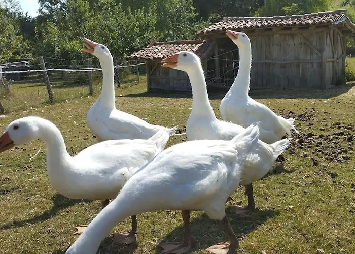 Prázdninový dům Le Bouton D'or 3 Etoiles 8 Kms Puydufou *