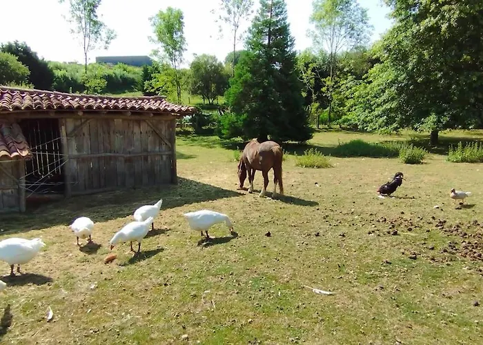Prázdninový dům Le Bouton D'or 3 Etoiles 8 Kms Puydufou *